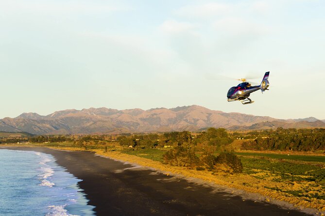 Kaikoura Helicopters Extended Whale Watch Flight - Reviews and Recommendations