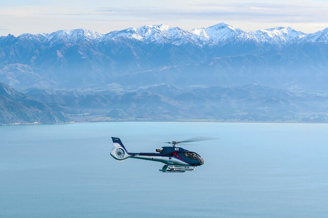 Kaikoura Helicopters Top N Tail Whale Watch Flight - Aerial Tour of Kaikoura Canyon