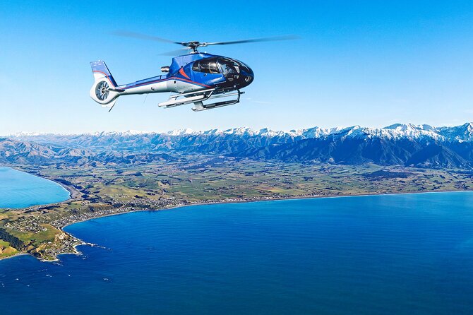Kaikoura Helicopters Top N Tail Whale Watch Flight - Unique Coastal and Marine Views