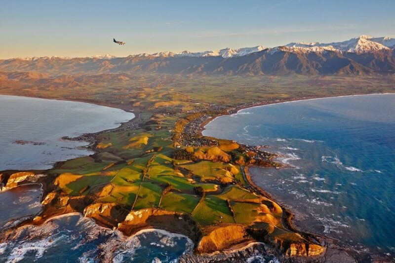 Kaikoura: Premium Whale Watching Flight - Customer Feedback