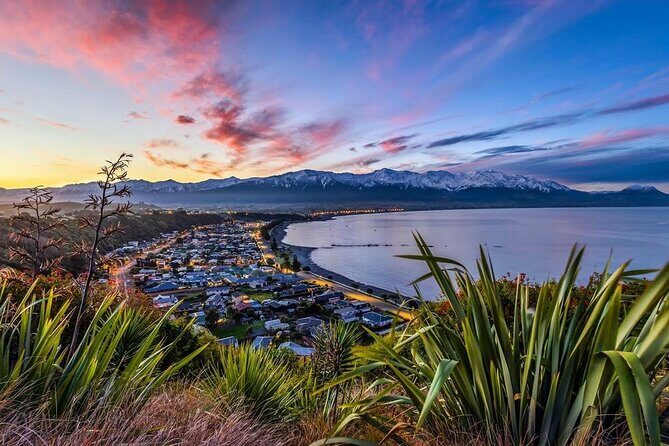 Kaikoura Private Whale Watching Day Trip from Christchurch - FAQ