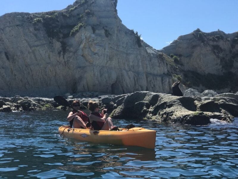 Kaikoura: Seal-Watching Pedal Kayak Tour - Meeting and Safety Information