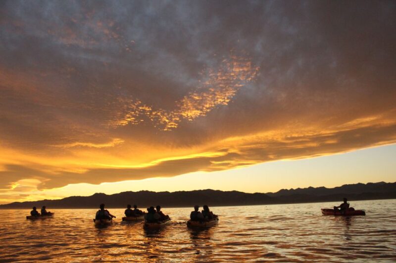 Kaikoura: Seal-Watching Pedal Kayak Tour - Participant Requirements