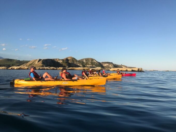 Kaikoura: Seal-Watching Pedal Kayak Tour - Wildlife Encounters