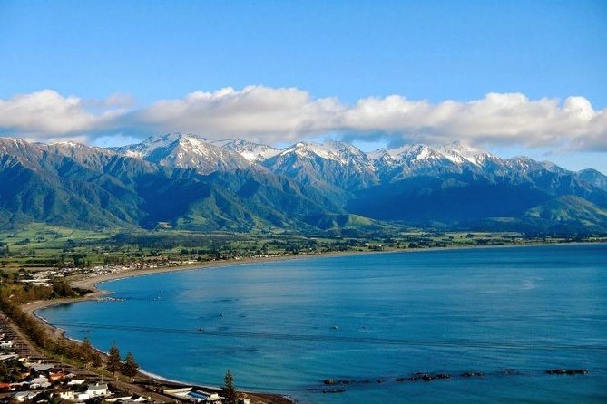 Kaikoura Swim With Dolphins Tour From Christchurch - Inclusions and Accessibility