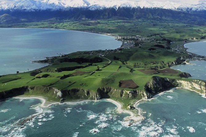 Kaikoura Swim With Dolphins Tour From Christchurch - Customer Experiences and Reviews