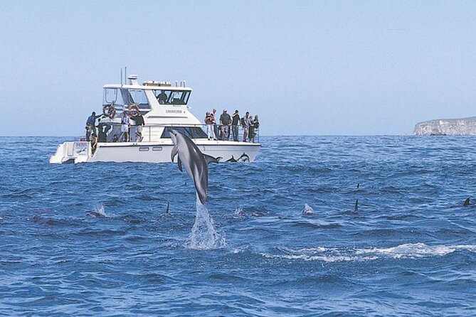 Kaikoura Whale and Dolphin Overnight Tour From Christchurch - Tour Inclusions