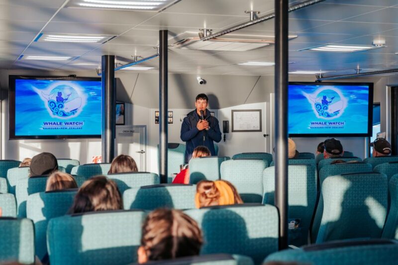 Kaikoura: Whale Watching Cruise - Onboard Amenities