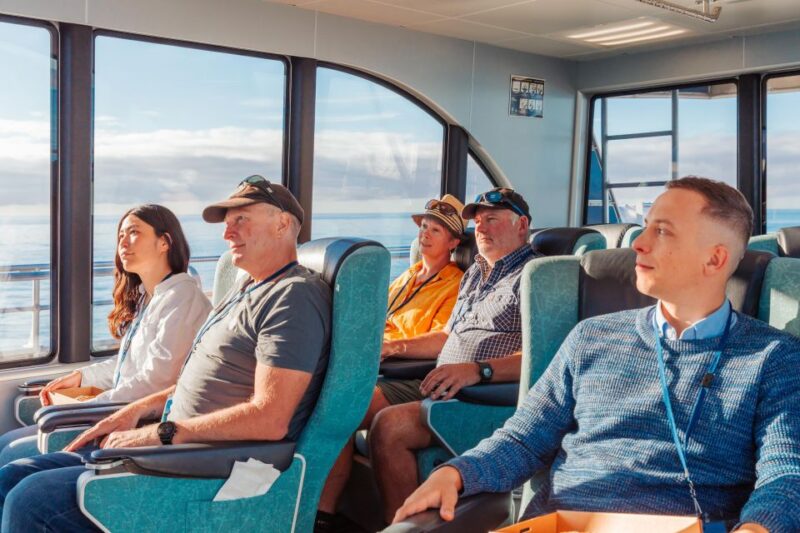 Kaikoura: Whale Watching Cruise - Safety Considerations