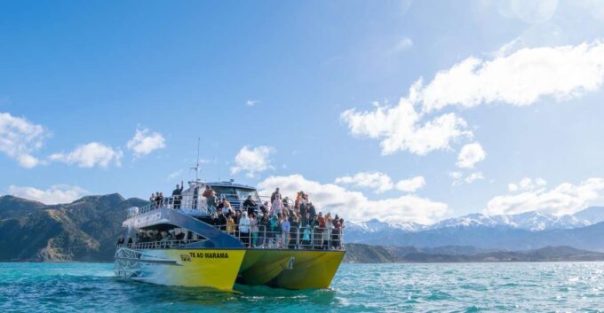 Kaikoura: Whale Watching Cruise - Booking Information
