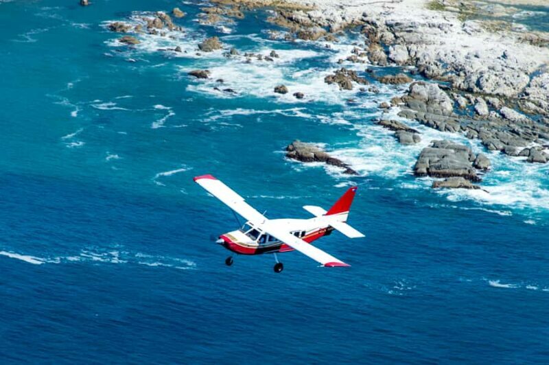 Kaikoura: Whale Watching Flight with Commentary - Frequently Asked Questions