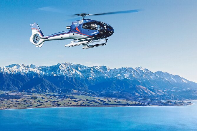 Kaikoura Whales - Tour Details
