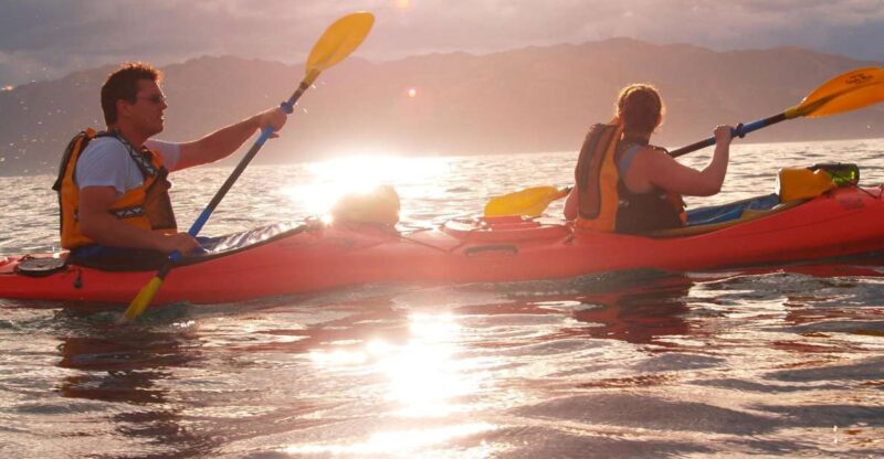 Kaikoura: Wildlife Kayaking Tour at Sunset - Key Points