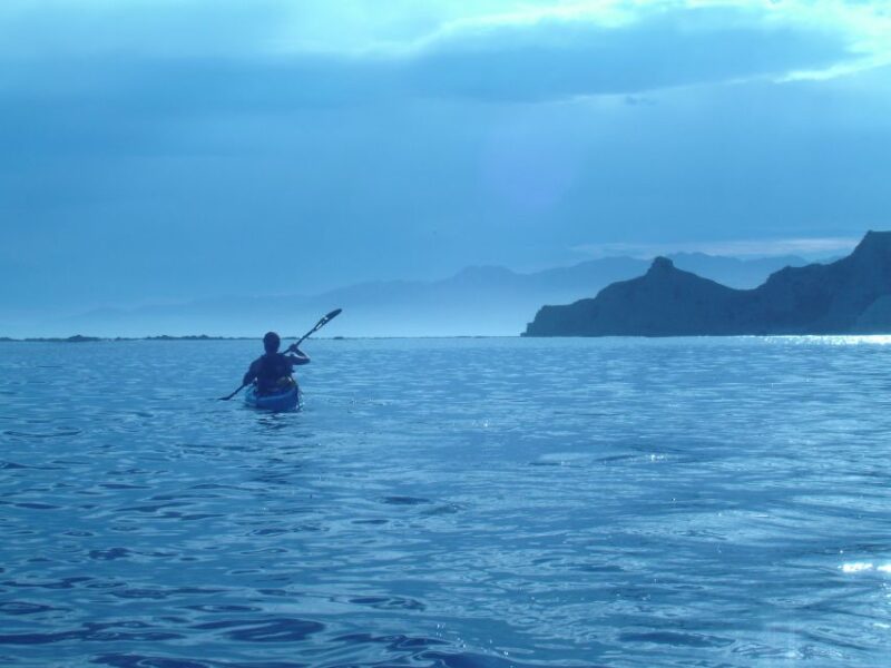 Kaikoura: Wildlife Kayaking Tour at Sunset - Tour Details and Equipment