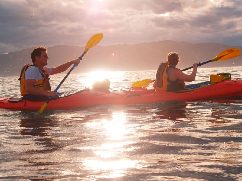 Kaikoura: Wildlife Kayaking Tour at Sunset - Customer Reviews and Ratings