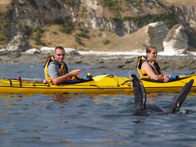 Kaikoura: Wildlife Kayaking Tour at Sunset - Maori Cultural Insights