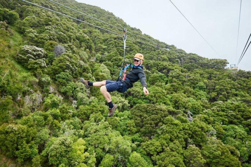 Kaikōura: Zipline and Native Forest Adventure Trip - Educational Insights and Conservation Efforts