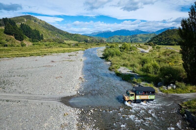 Kaikōura: Zipline and Native Forest Adventure Trip - Optional Tree Planting Activity