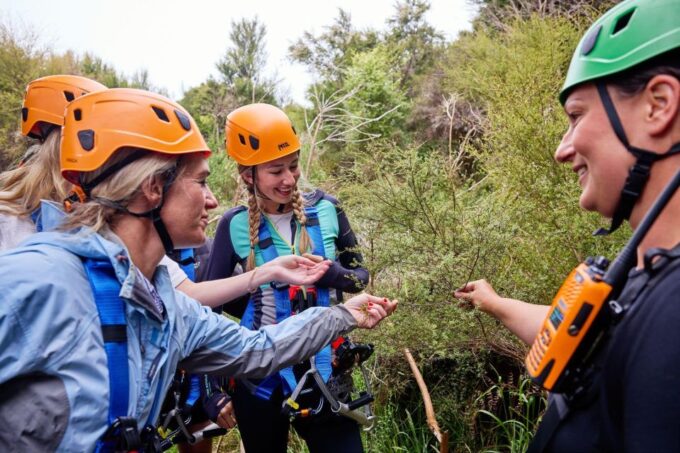 Kaikōura: Zipline and Native Forest Adventure Trip - Roundtrip Transportation and Meeting Point