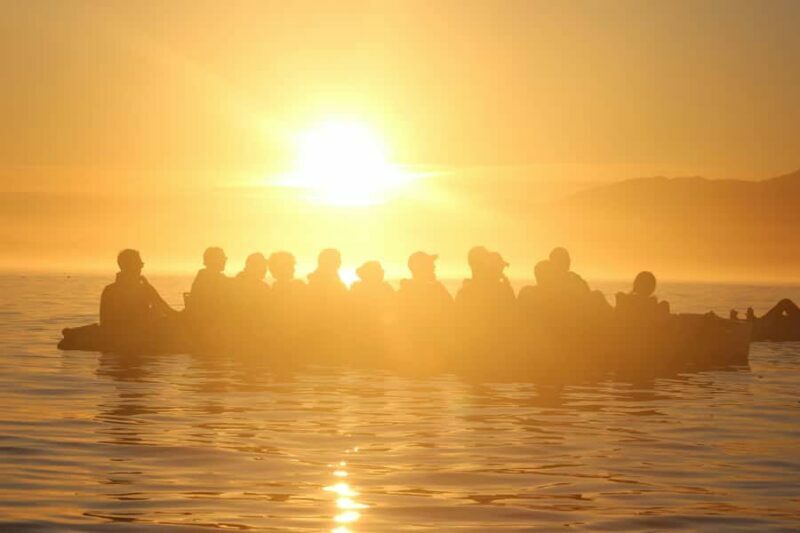 Kaikura: Kayak Sunset Tour with Seal Sightings - Key Points