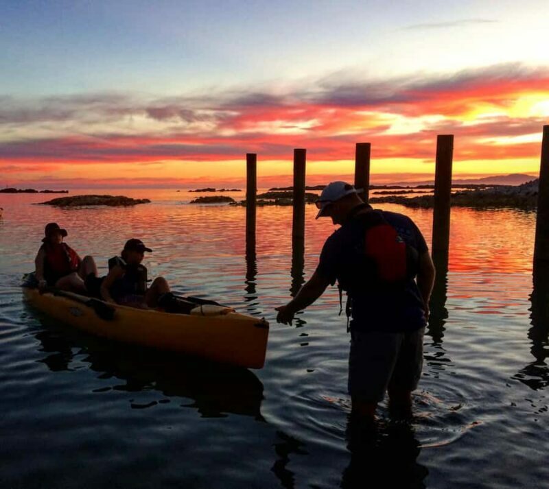 Kaikura: Kayak Sunset Tour with Seal Sightings - Practical Considerations and Value