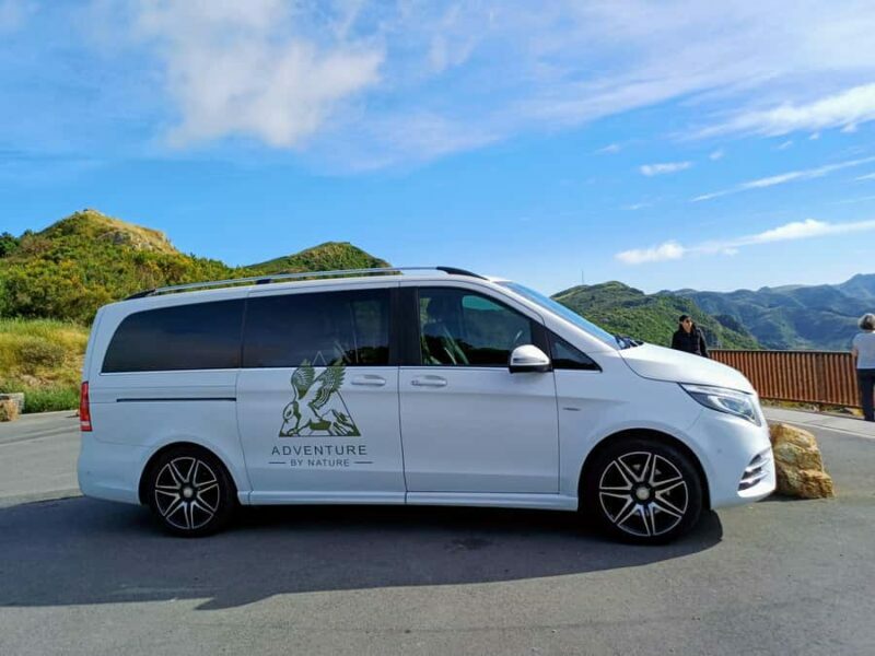 Kaikura: Small Group Tour- optional Whale, Dolphin, Zipline - Who Will Enjoy This Tour?