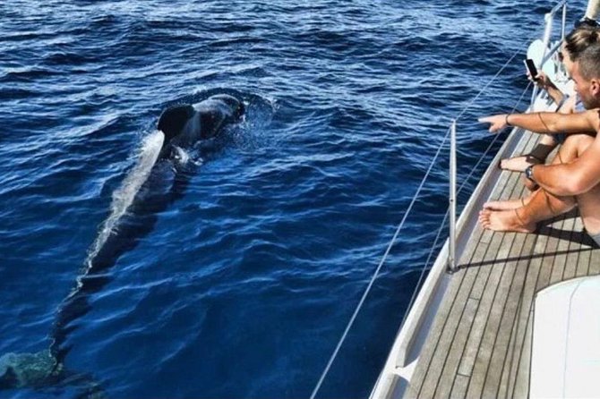 Kailani All Inclusive Private Charter - Accessibility and Participation