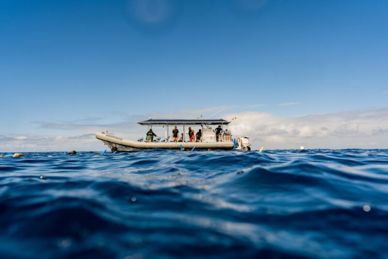 Kailua-Kona: Big Island Morning Snorkeling Tour With Lunch - Booking and Cancellation Policy