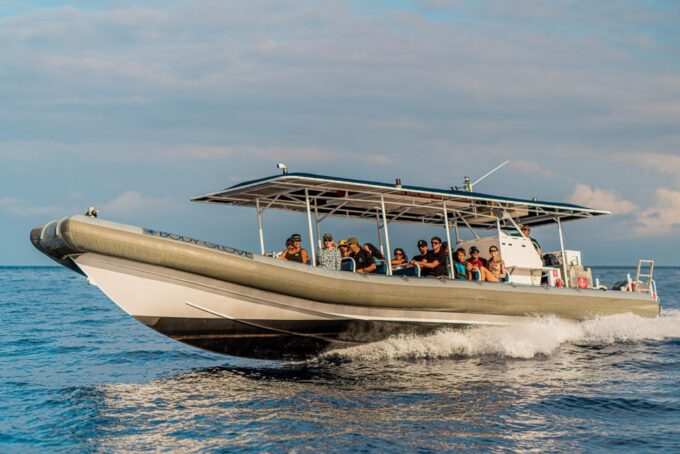 Kailua-Kona: Big Island Morning Snorkeling Tour With Lunch - Inclusions and Exclusions