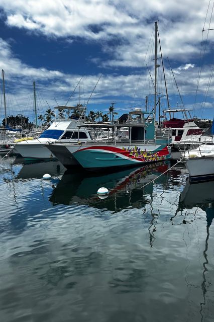 Kailua-Kona: Captain Cook Reef Catamaran Day Trip With Lunch - Key Points