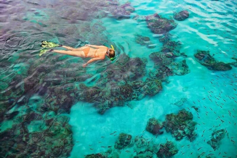 Kailua Kona: Dolphin, Sea Cave and Captain Cook Snorkel Tour - An In-Depth Look at the Experience