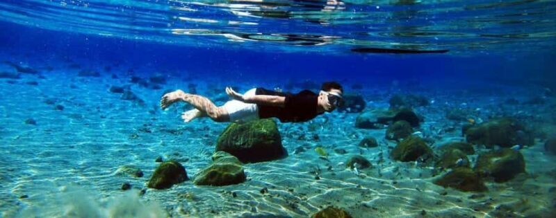 Kailua Kona: Dolphin, Sea Cave and Captain Cook Snorkel Tour - The Sum Up