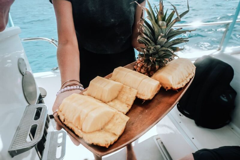 Kailua-Kona: Dolphin Watch Speedboat Snorkel Cruise and BBQ - Tour Experience