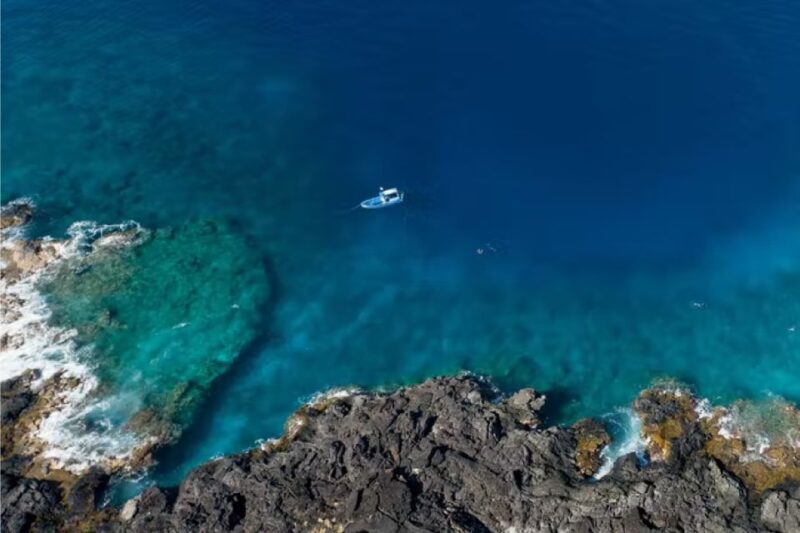 Kailua-Kona: Dolphin Watch Speedboat Snorkel Cruise and BBQ - Meeting and Transportation