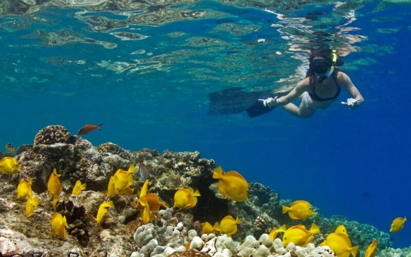 Kailua-Kona: Kealakekua Bay and Captain Cook Monument Tour - Included Amenities