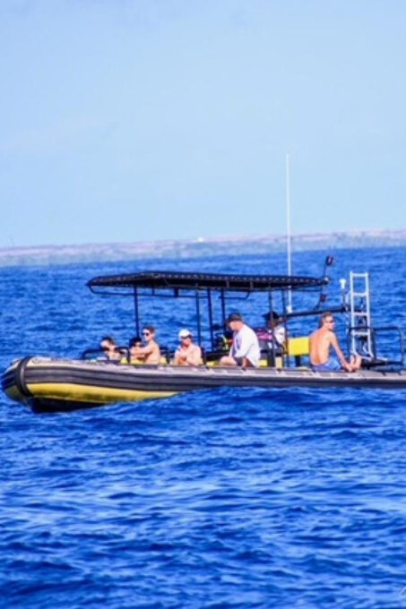 Kailua-Kona: Kealakekua Bay and Captain Cook Monument Tour - Meeting Point and Directions