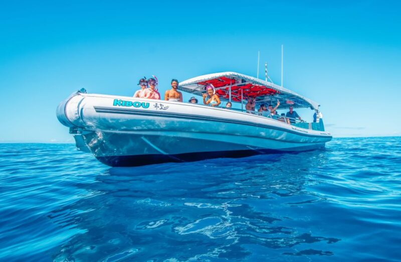 Kailua-Kona: Manta Ray Snorkeling With Hot Cocoa - Experience Highlights