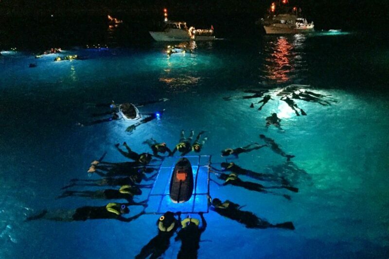 Kailua Kona: Night Manta Ray Adventure on the Big Island - Key Points
