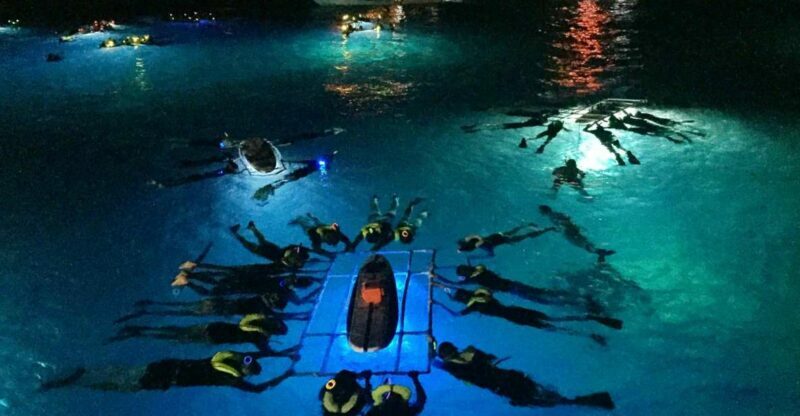 Kailua Kona: Night Manta Ray Adventure on the Big Island - An In-Depth Look at the Manta Ray Night Snorkel Tour