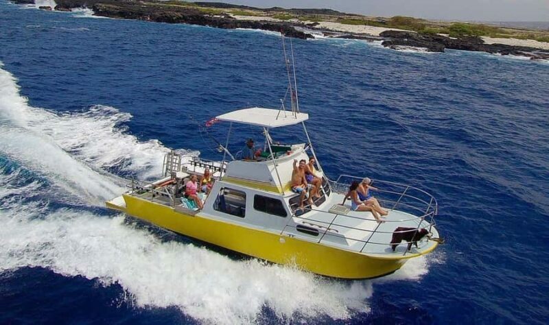 Kailua-Kona: Night Manta Snorkel or Dive - What You Can Expect from the Kailua-Kona Night Manta Experience