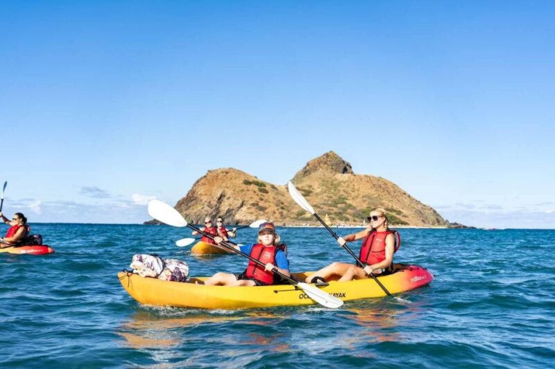 Kailua, Oahu: Guided E-Bike & Kayak Tour to Mokulua Islands - Wildlife and Environmental Considerations