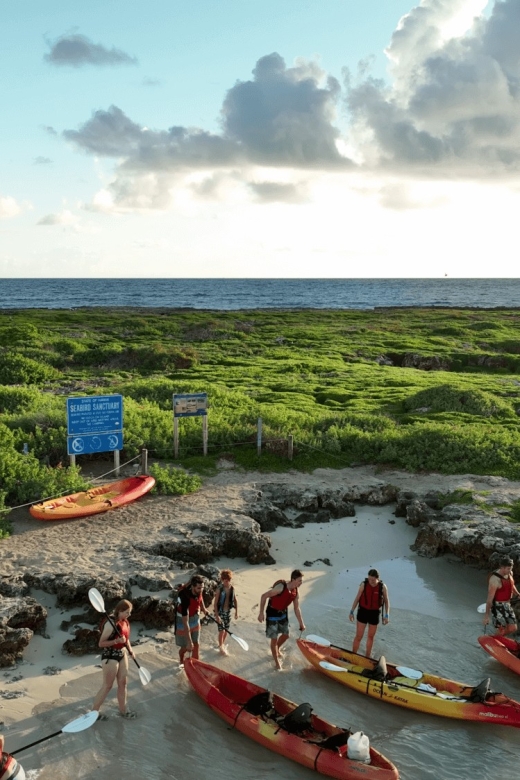 Kailua, Oahu: Popoia Island & Kailua Bay Guided Kayak Tour - Kayaking Experience