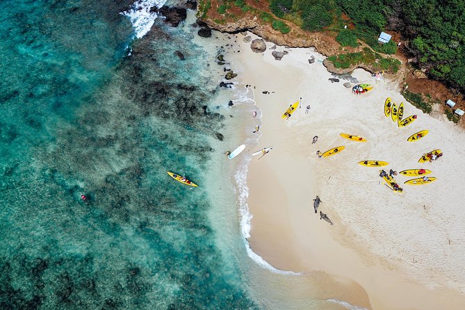 Kailua Twin Islands Guided Kayak Tour, Oahu - Visiting the Twin Island Sanctuary