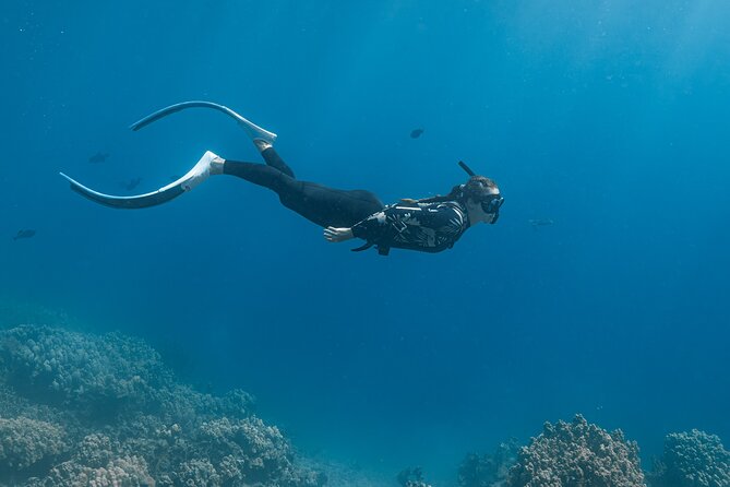 Kaimana Kealakekua Bay (Capt. Cook) Adventure - Tour Duration and Reviews