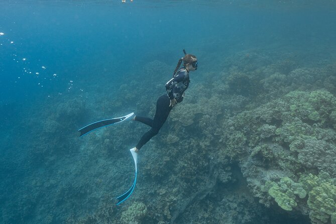 Kaimana Kealakekua Bay (Capt. Cook) Adventure - Accessibility and Restrictions