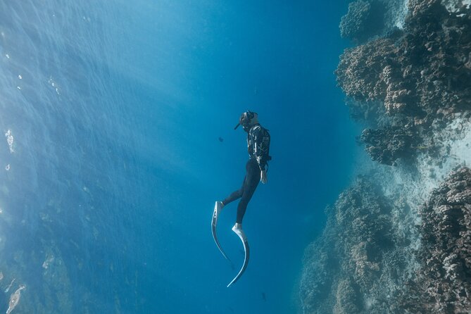 Kaimana Kealakekua Bay (Capt. Cook) Adventure - Additional Tour Details