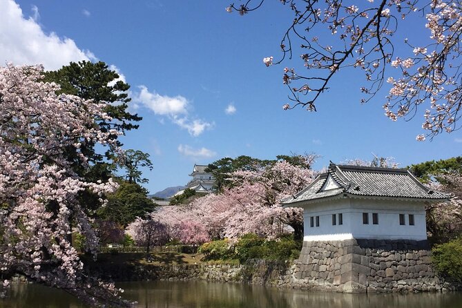 Kaiseki Cuisine and Geisha Entertainment - Lunch and Pickup Activity
