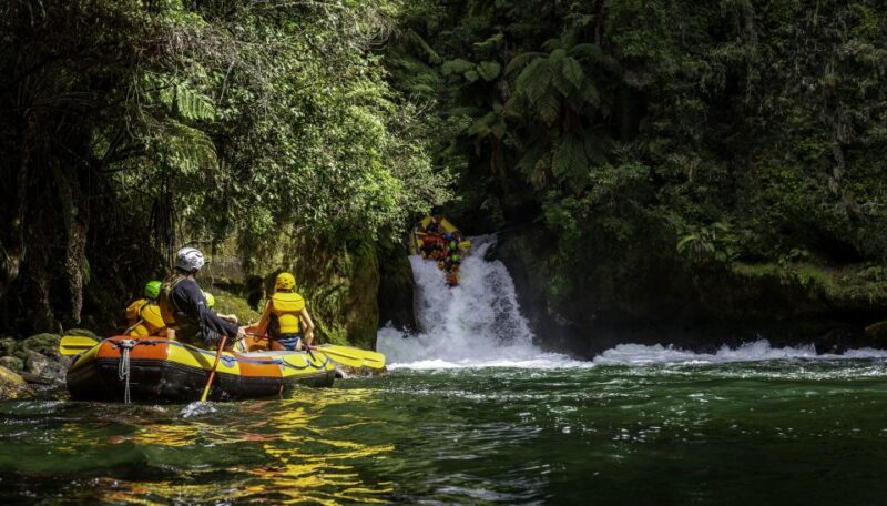 Kaituna River and Tutea Falls Whitewater Rafting - Customer Reviews and Experience