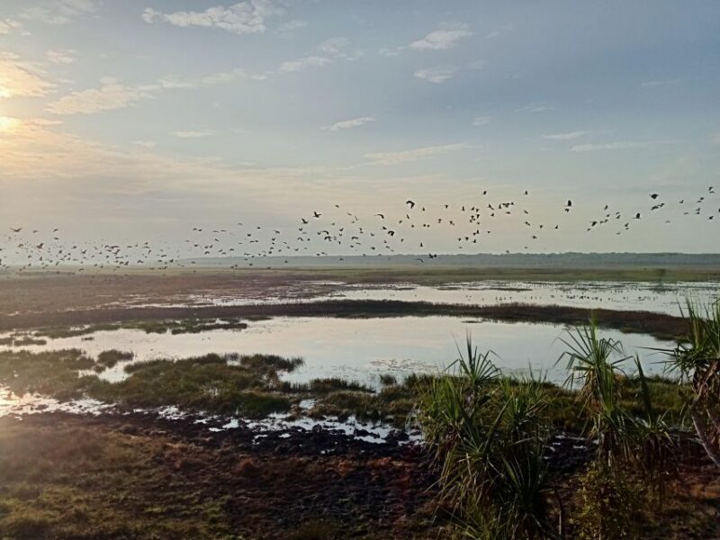 Kakadu-2 Day Tour. the Best Itinerary. - Maguk Waterfall