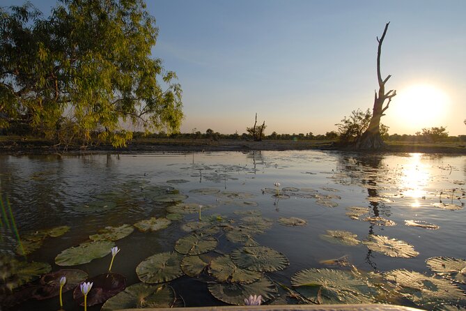 Kakadu, Arnhem Land, Katherine & Litchfield Adventure - Reviews Summary
